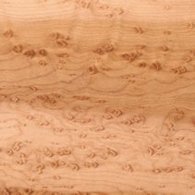 Birdseye Maple
