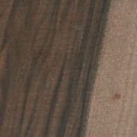 English Walnut