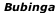 Bubinga