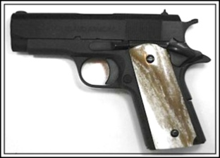Giraffe Bone on 1911 Officers