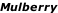 Mulberry