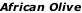 African Olive
