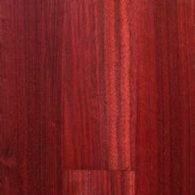 Bloodwood