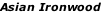 Asian Ironwood