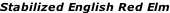 Stabilized English Red Elm