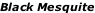 Black Mesquite