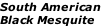 South American  Black Mesquite