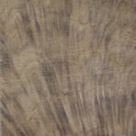 Burl White Oak